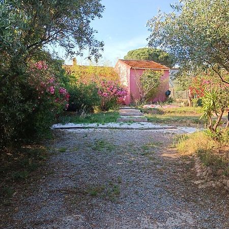 Maison De Vacances, Proche De La Plage เฟรฌูส ภายนอก รูปภาพ