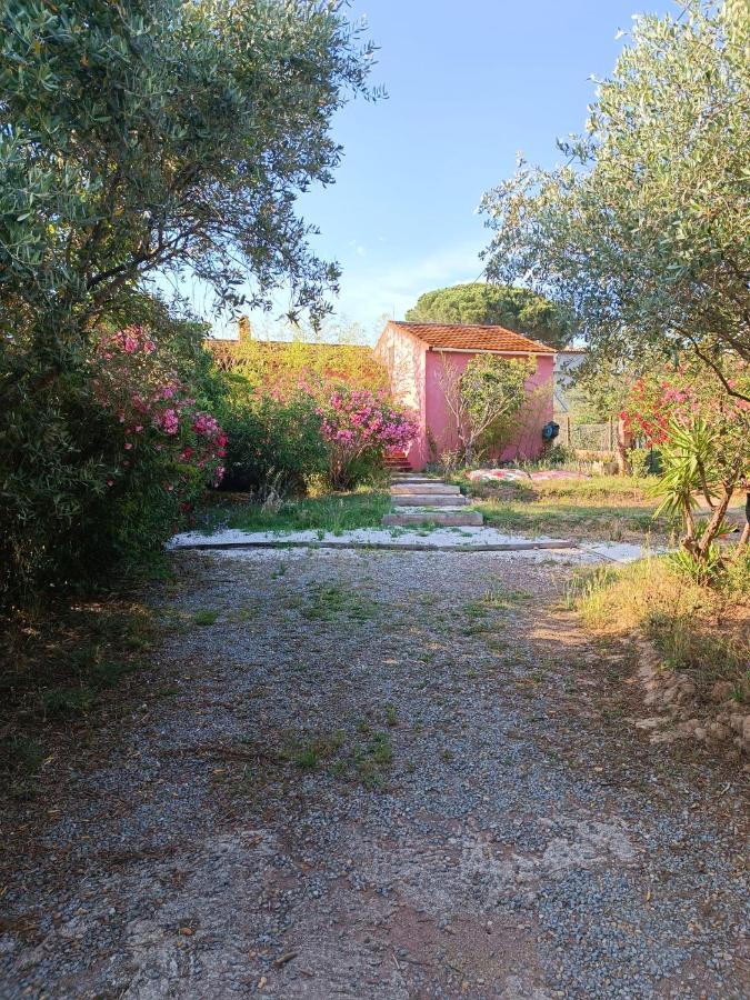 Maison De Vacances, Proche De La Plage เฟรฌูส ภายนอก รูปภาพ